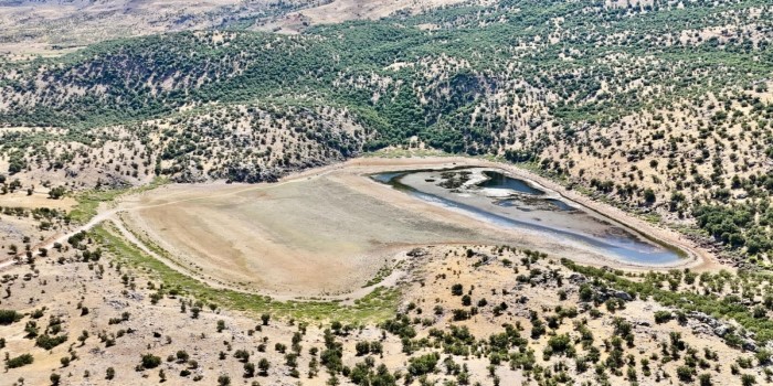 Sülüklü
