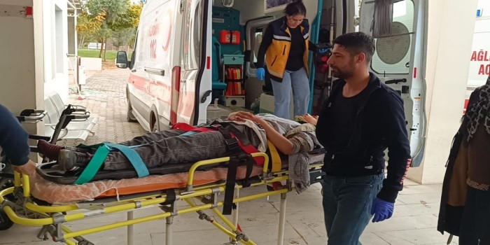 Besni’de otomobil şarampole devrildi: 5 yaralı