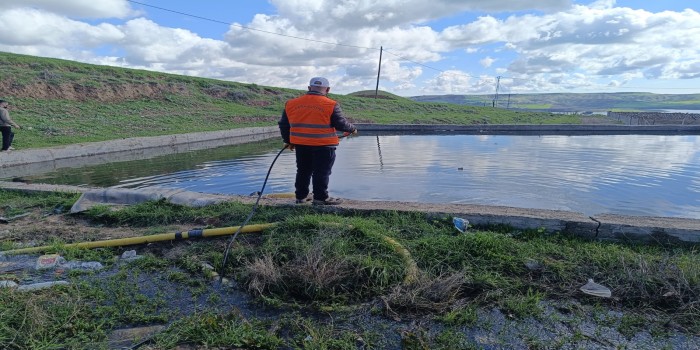 Kahta’da haşereyle mücadele çalışması yoğunlaştı