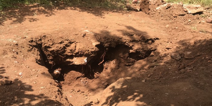 Adıyaman'da toprağa gömülü kafatası ve insan kemikleri bulundu