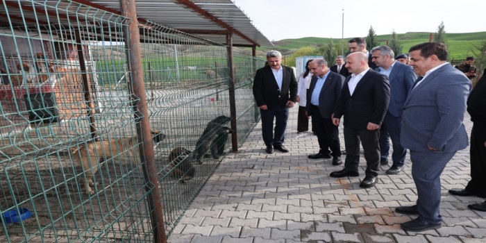 Adıyaman’da hayvan barınakları incelendi