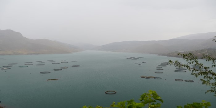 Yağan yağmur yüzen adalara hayat verdi