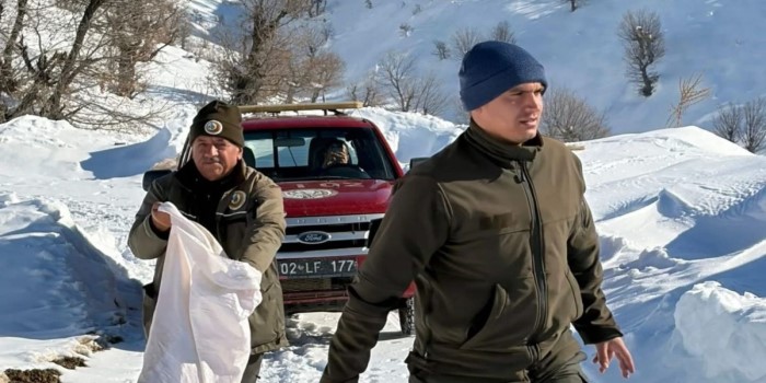 Adıyaman’da yaban hayvanları için doğaya yem bırakıldı