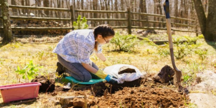 Tarım ve Orman İl Müdürlüğü’nden staj başvuru duyurusu