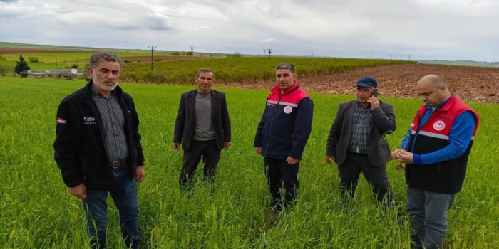 Çiftçilerin zarar tespit çalışmaları devam ediyor