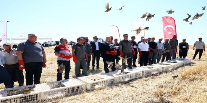 Adıyaman’da 1000 keklik doğaya bırakıldı