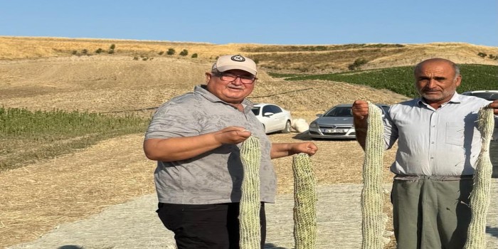Başkan Turanlı’dan tütün üreticilerine önemli uyarı